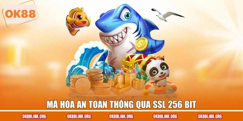 Mã hóa an toàn thông qua SSL 256 bit